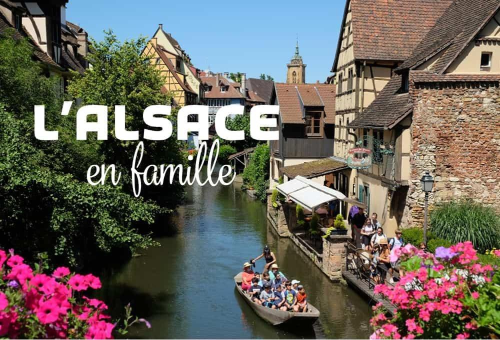 Ville Centre - Gite Le Villois - Au Coeur De L'Alsace 외부 사진