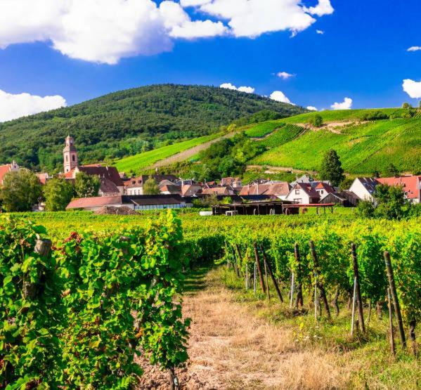 Ville Centre - Gite Le Villois - Au Coeur De L'Alsace 외부 사진